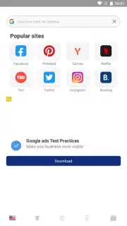 Proxy Browser capture 7