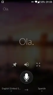 Microsoft Translator capture 6