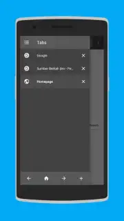 Browser 8G capture 3