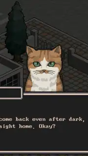 A Street Cat capture 1