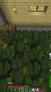 Perfect Building Minecraft capture 3