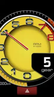 RealDash capture 3