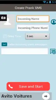 Zifo Fake SMS capture 1
