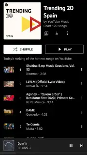 Vanced Music capture 6
