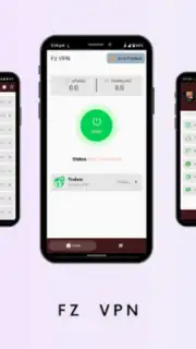 Fz VPN capture 4