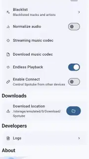 Spotube capture 9
