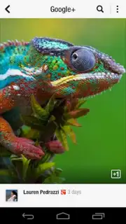 Flipboard capture 8
