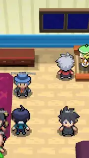 PokeMMO capture 1