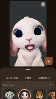 Google Meet capture 14