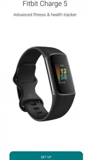 Fitbit capture 11