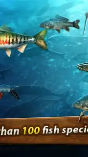 Gone Fishing: Trophy Catch capture 4