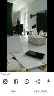 Loopsie capture 5