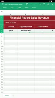 WPS Office capture 21