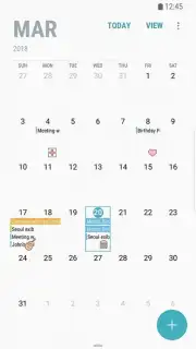 Samsung Calendar capture 3