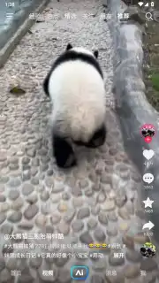 Douyin Search capture 2