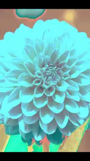 After Effect capture 1