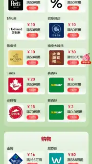 UnionPay capture 9