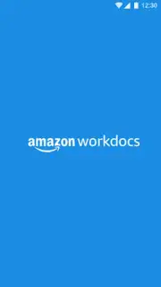 Amazon Zocalo capture 9