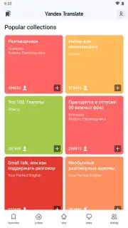 Yandex Translate capture 12