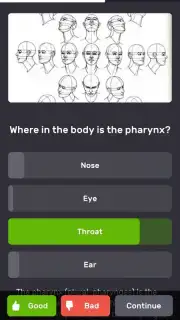 QuizzLand capture 1