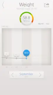 Smart Scale capture 1