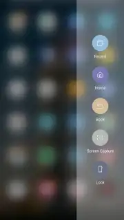 SoftKey Edge capture 1