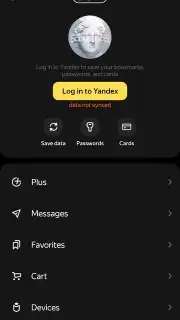Yandex capture 1