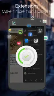 Next Browser capture 1