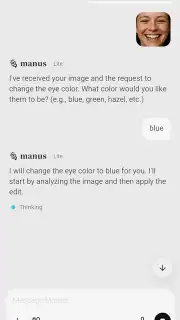 Manus AI capture 6