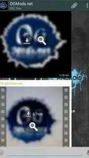 OGWhatsApp capture 1