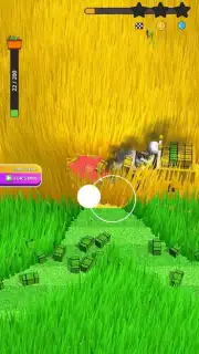 Stone Grass capture 3