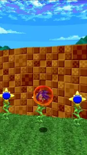 Sonic Robo Blast 2 capture 8