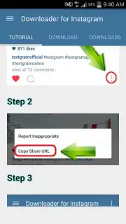 Video Downloader for Instagram capture 5