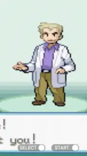 Pokemon Collection capture 7