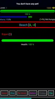 Random Adventure Roguelike capture 7