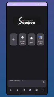 Serfer Browser capture 1