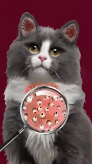 Cat ASMR: Salon Makeover capture 1
