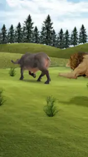 Lion Simulator Animal Games 3d capture 2