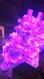 Realistic Shader Mod capture 3