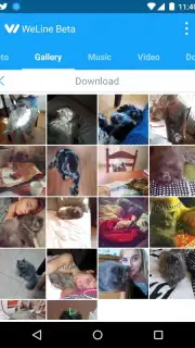 WeLine capture 7
