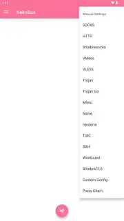 NekoBox capture 5