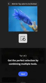 Adobe Photoshop capture 4