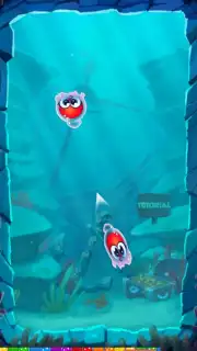 Jigty Jelly capture 2