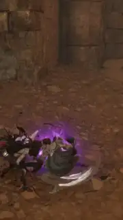 Raven 2 capture 6