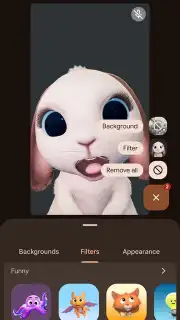 Google Meet capture 12