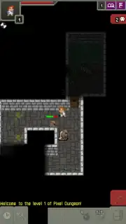 Moonshine Pixel Dungeon capture 6