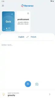 Reverso Translation Dictionary capture 1