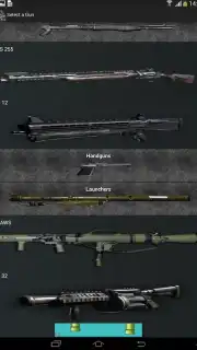 Gun Camera capture 8