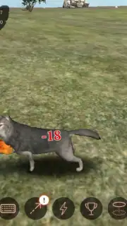 The Wolf capture 2