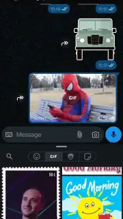 WhatsApp Business capture 6